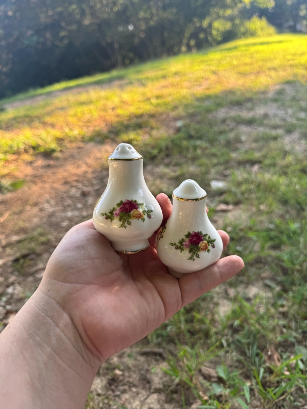 Vintage bone china Royal Albert Old country Rose salt and pepper shakers